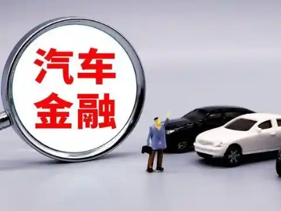 排浦押车贷款不是本人可以么?